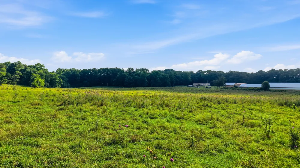 6373 Bates Pike SE Cleveland, TN 37323