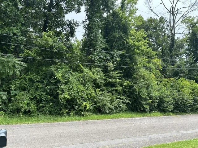 Westonia Drive East Ridge, TN 37412