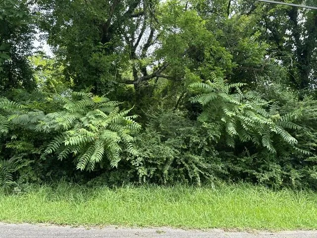Westonia Drive East Ridge, TN 37412