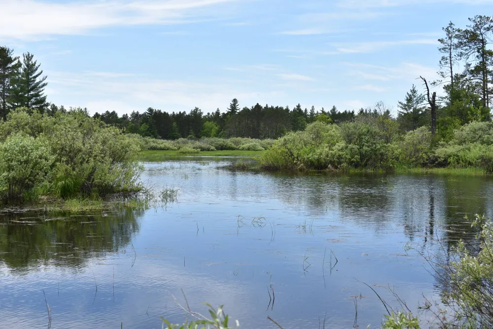 Hwy 28 Seney, MI 49883