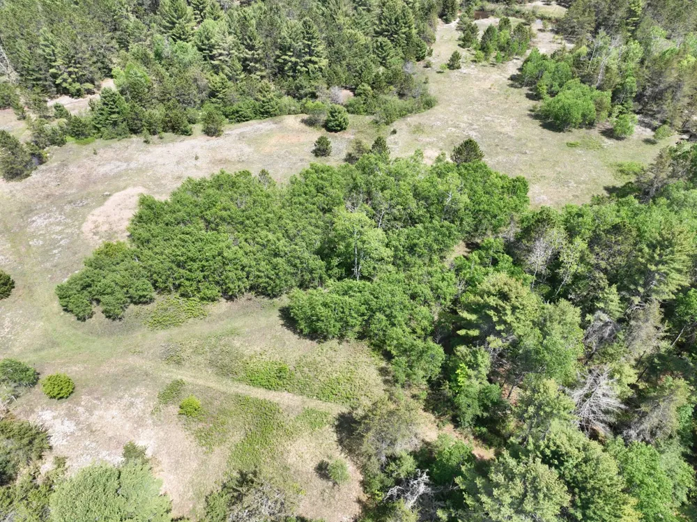Hwy 28 Seney, MI 49883