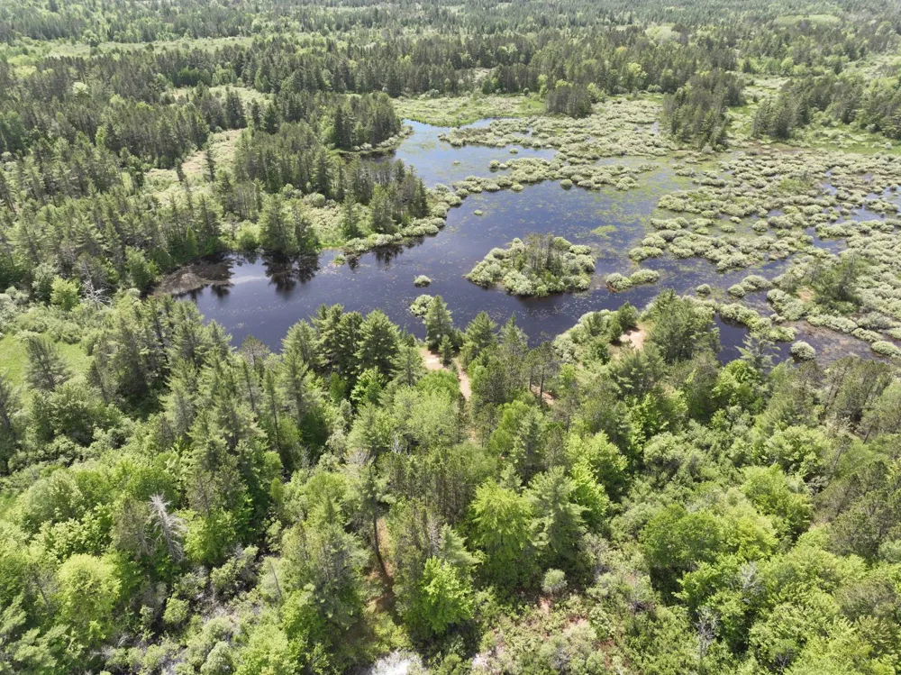 Hwy 28 Seney, MI 49883