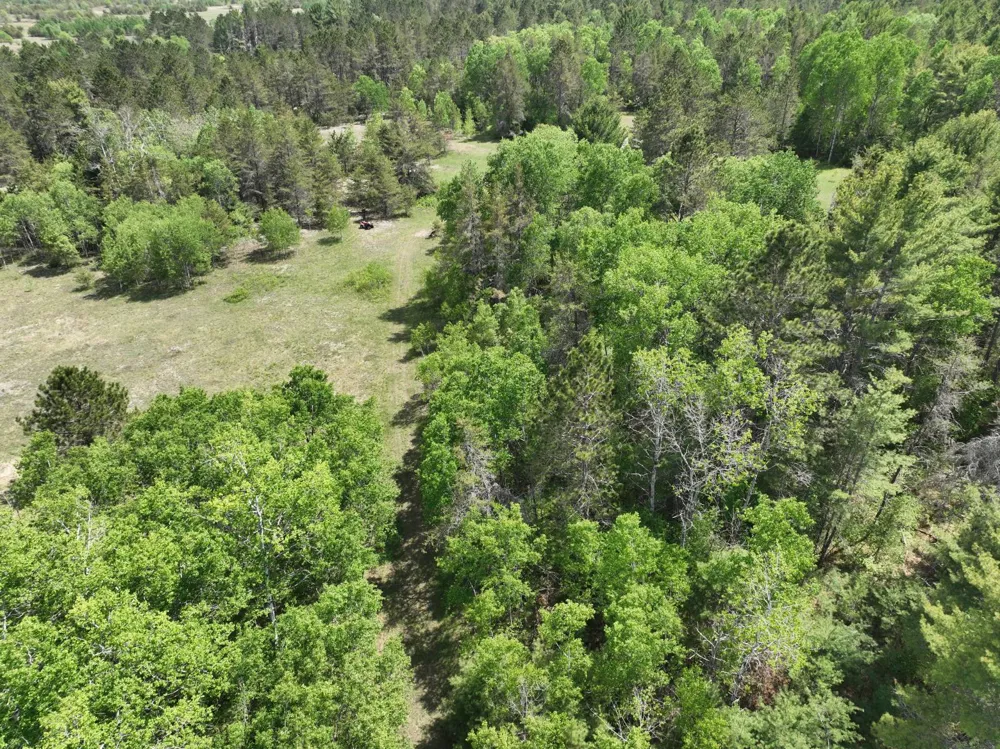 Hwy 28 Seney, MI 49883