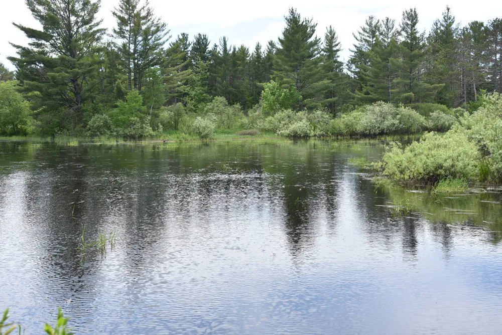 Hwy 28 Seney, MI 49883