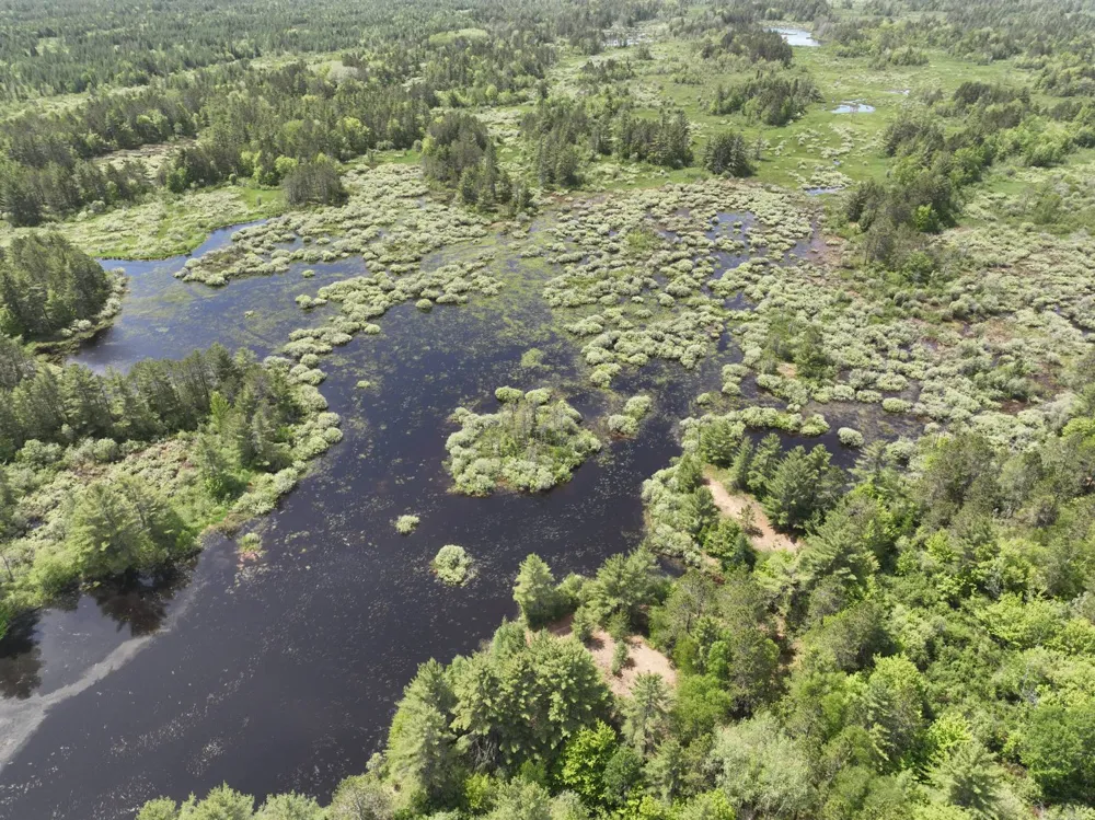 Hwy 28 Seney, MI 49883
