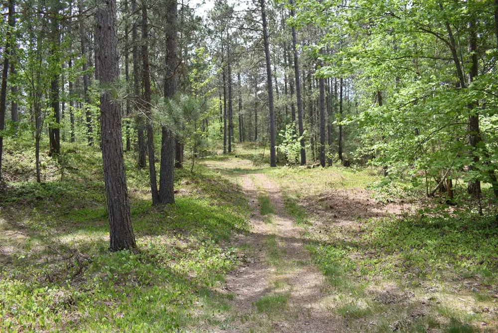 Hwy 28 Seney, MI 49883