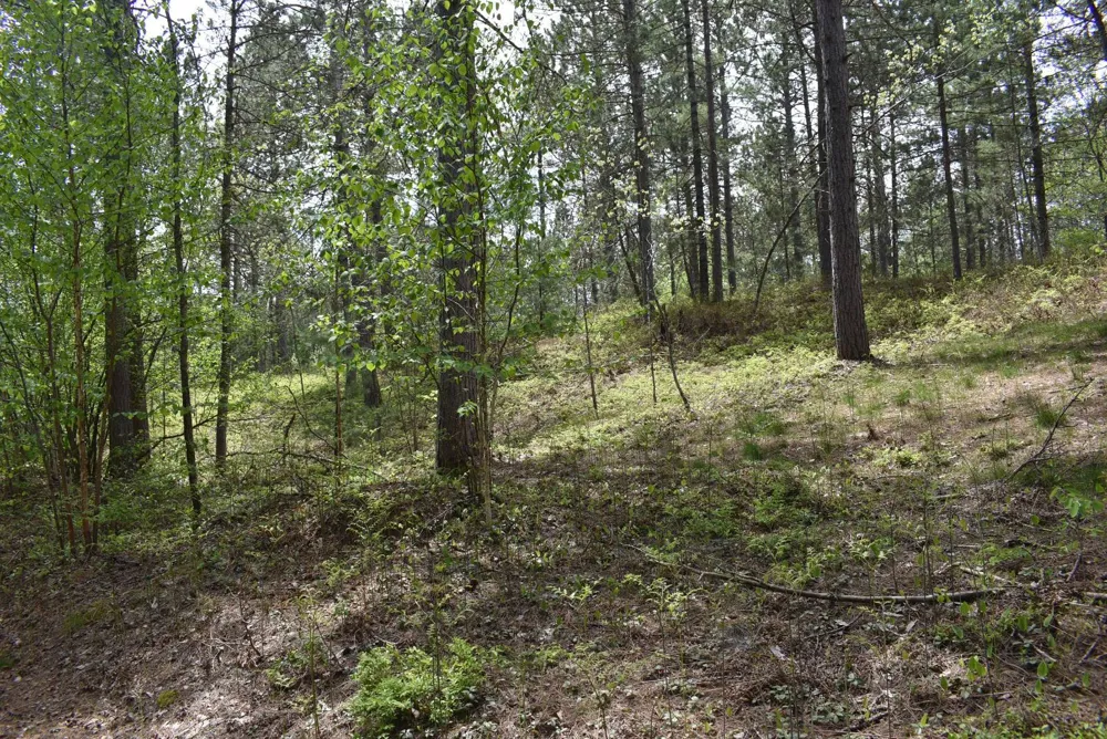 Hwy 28 Seney, MI 49883