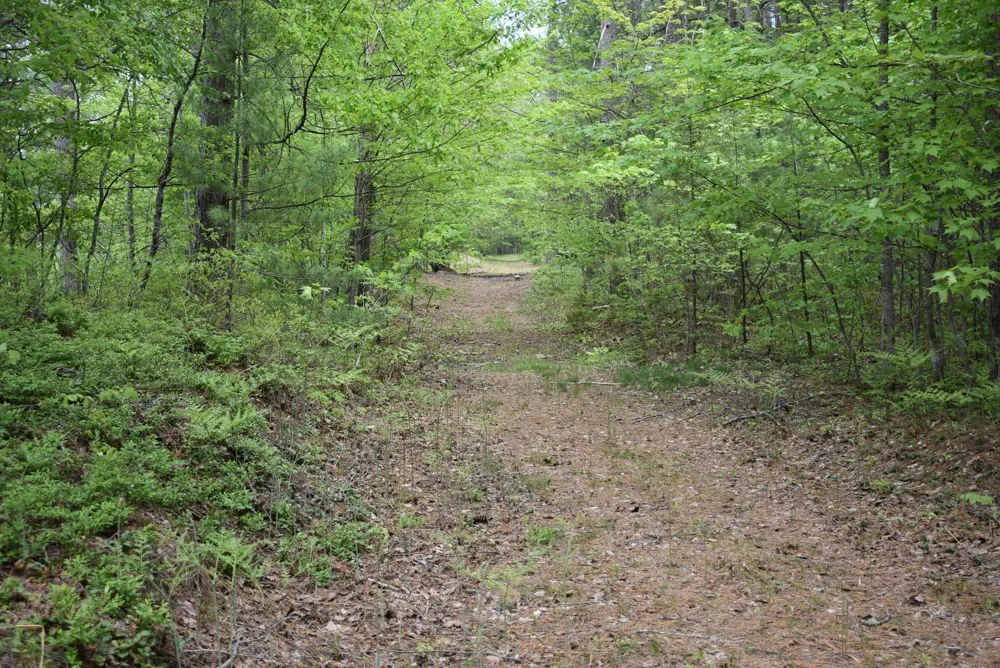 Hwy 28 Seney, MI 49883