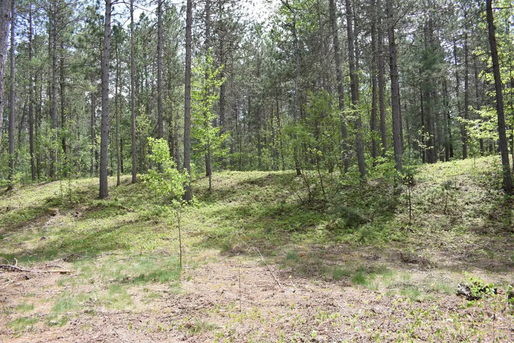 Hwy 28 Seney, MI 49883