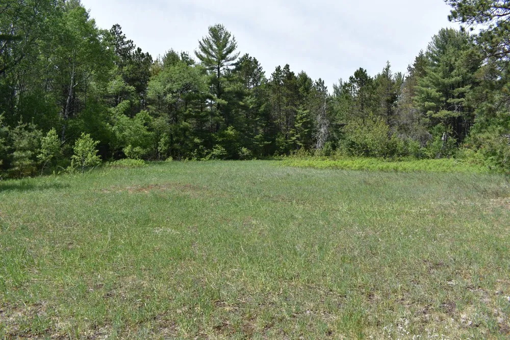 Hwy 28 Seney, MI 49883