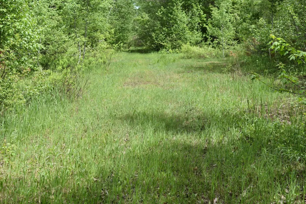 Hwy 28 Seney, MI 49883