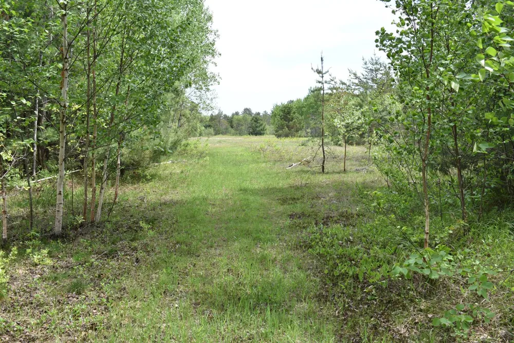 Hwy 28 Seney, MI 49883