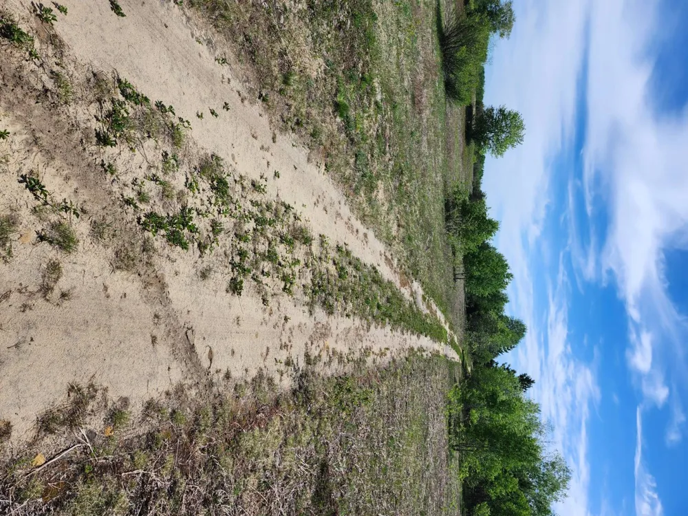 Hwy 28 Seney, MI 49883