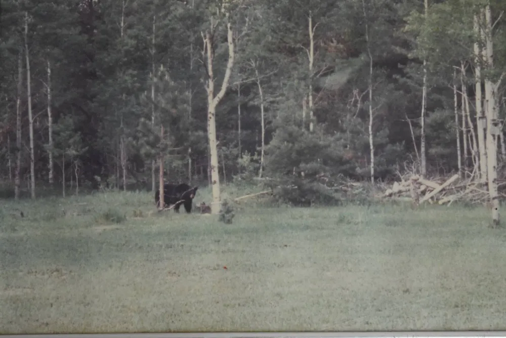 Hwy 28 Seney, MI 49883