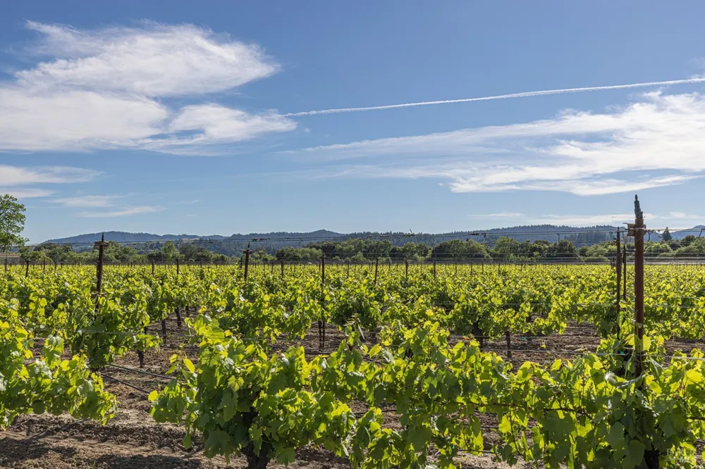 374 Kinley Drive Healdsburg, CA 95448