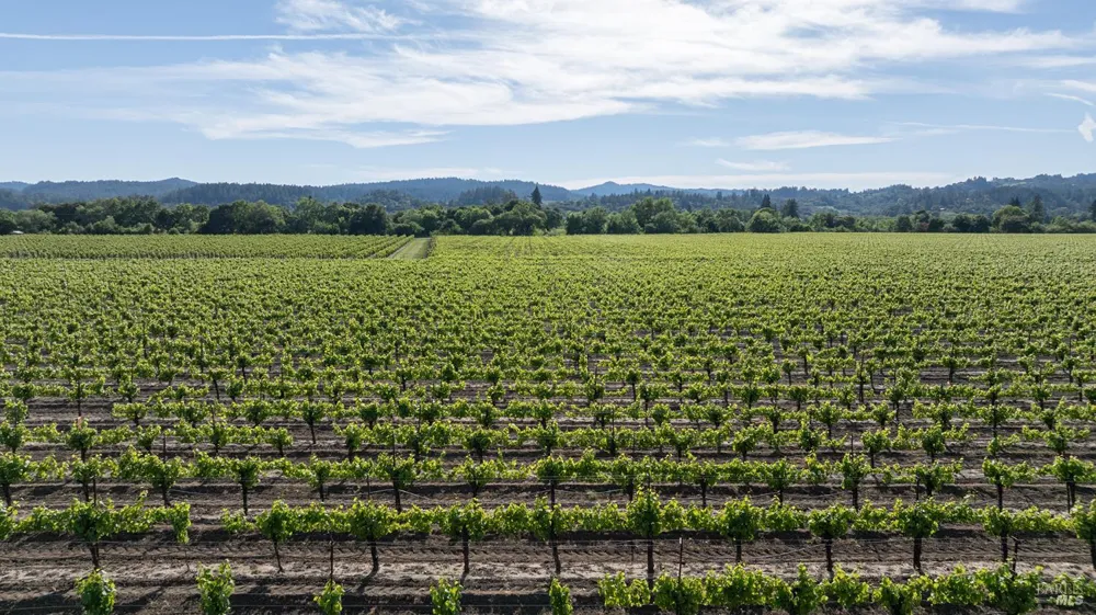 374 Kinley Drive Healdsburg, CA 95448