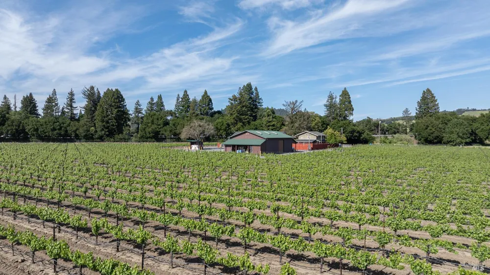 374 Kinley Drive Healdsburg, CA 95448