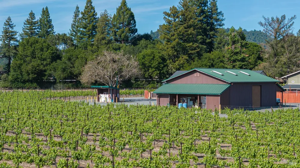 374 Kinley Drive Healdsburg, CA 95448