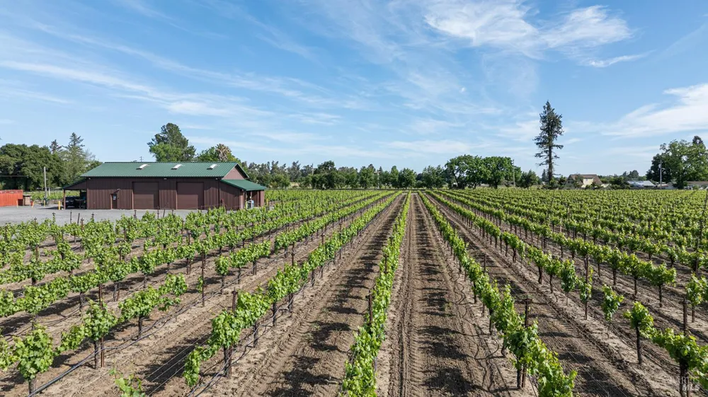 374 Kinley Drive Healdsburg, CA 95448