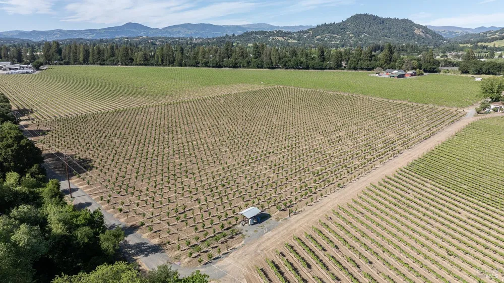 374 Kinley Drive Healdsburg, CA 95448