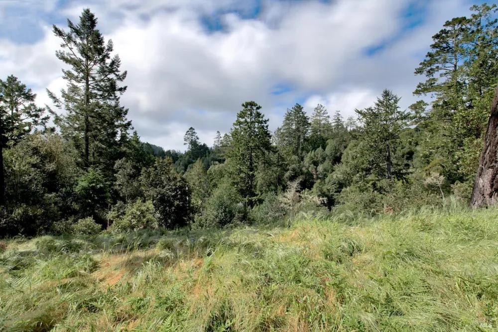Douglas Drive Inverness, CA 94937