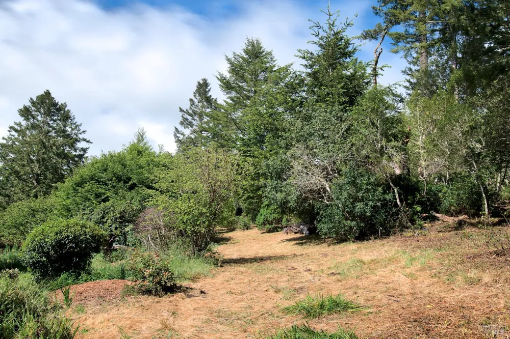 Douglas Drive Inverness, CA 94937