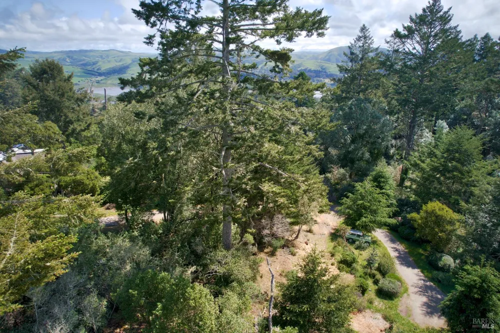 Douglas Drive Inverness, CA 94937