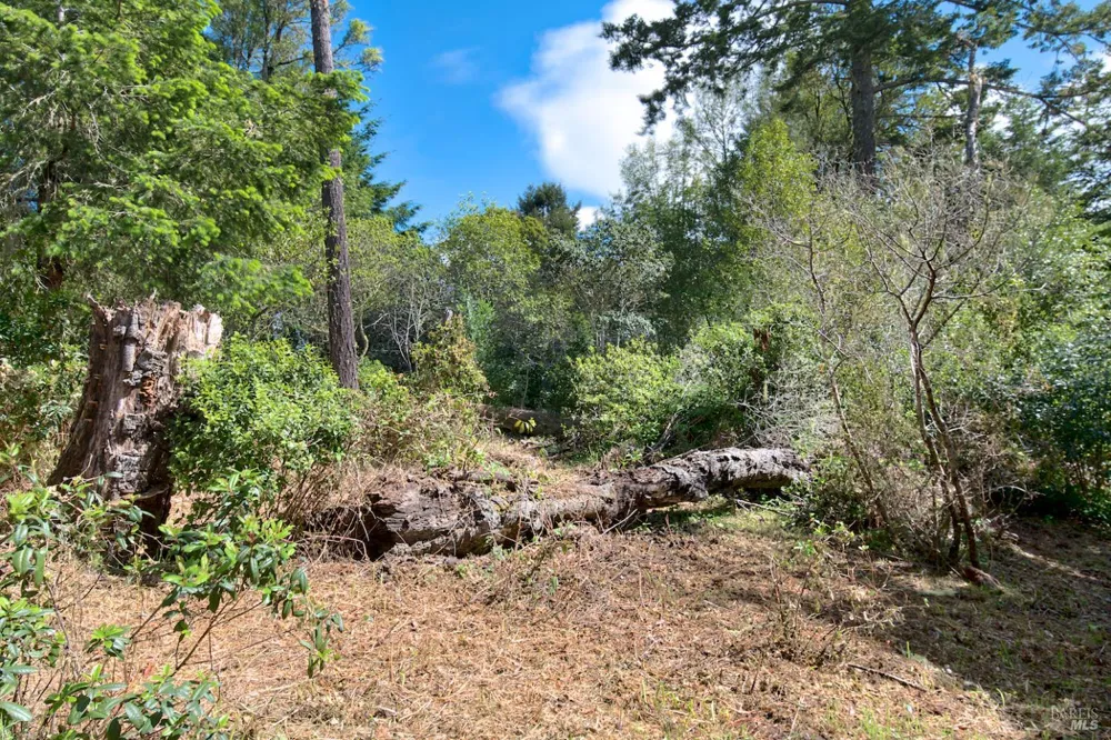 Douglas Drive Inverness, CA 94937