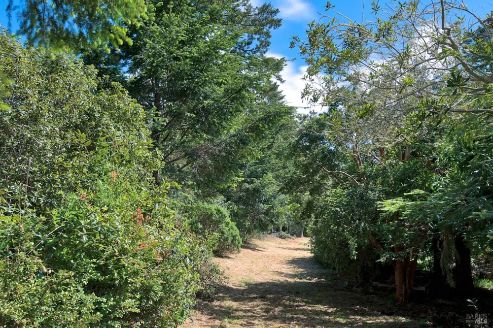 Douglas Drive Inverness, CA 94937