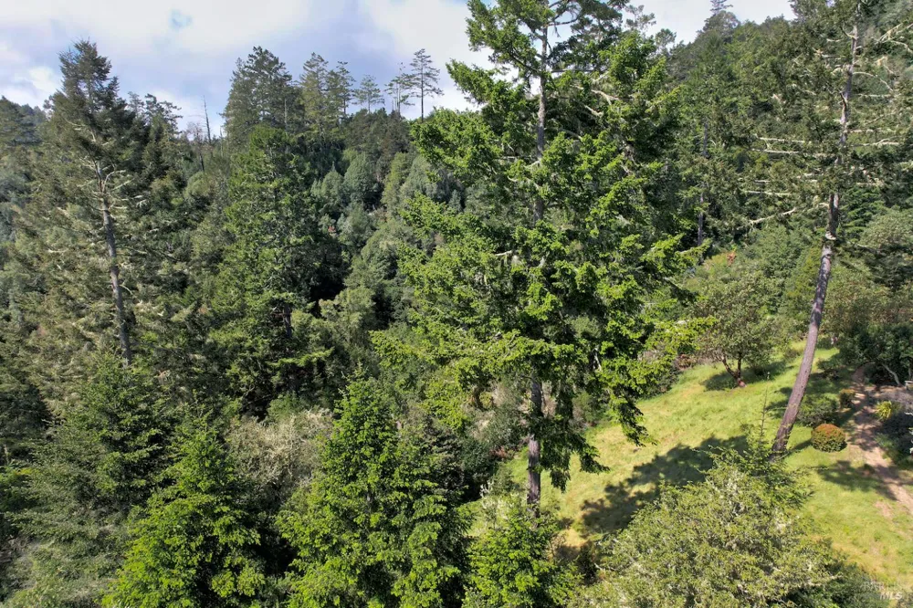 Douglas Drive Inverness, CA 94937