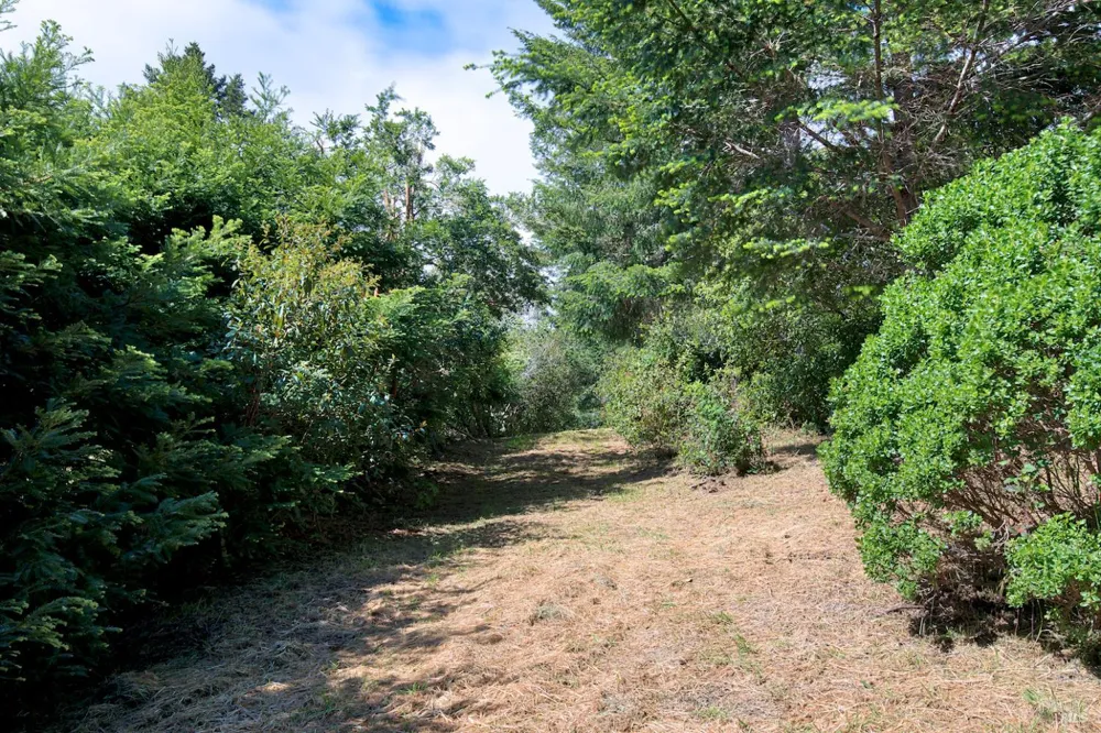 Douglas Drive Inverness, CA 94937