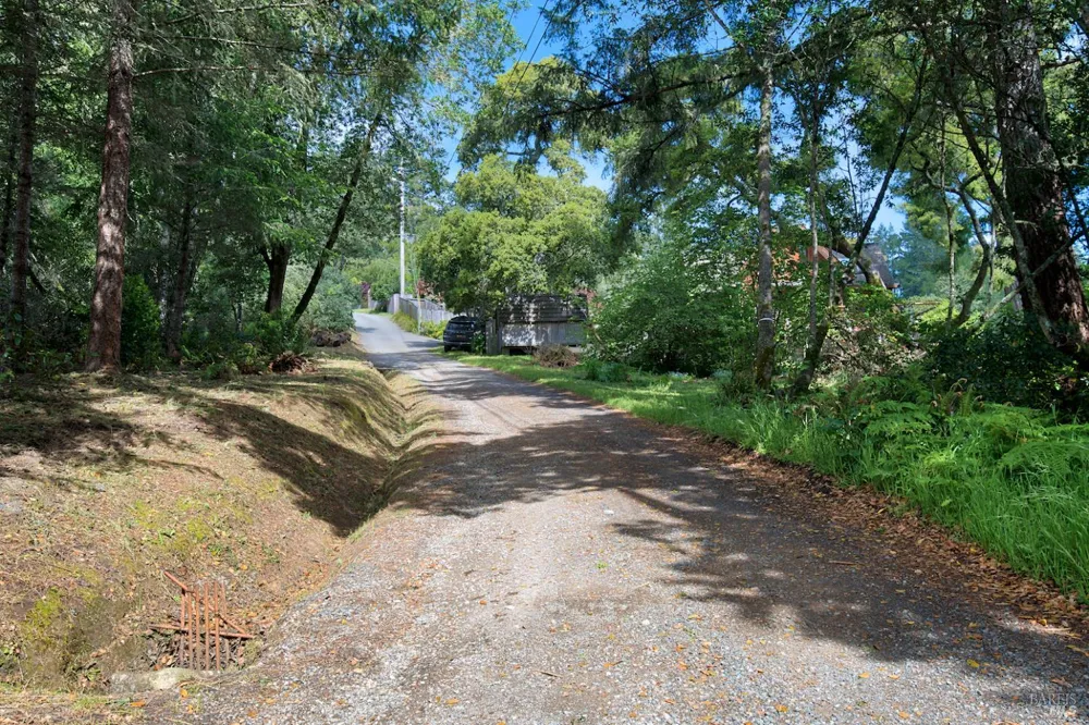 Douglas Drive Inverness, CA 94937