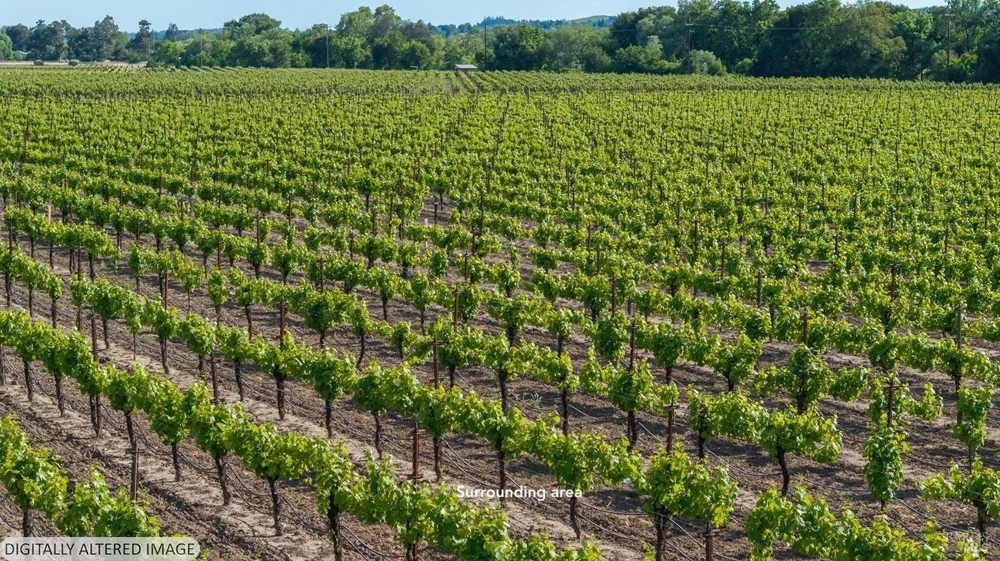 Kinley Drive Healdsburg, CA 95448