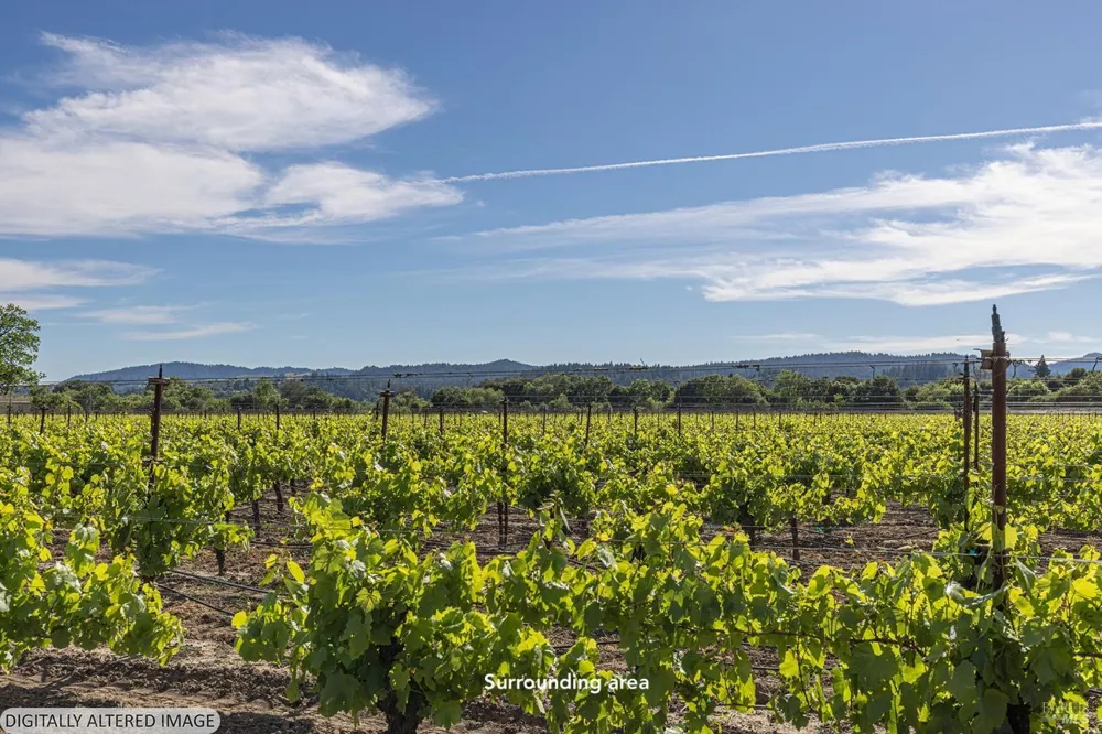 Kinley Drive Healdsburg, CA 95448