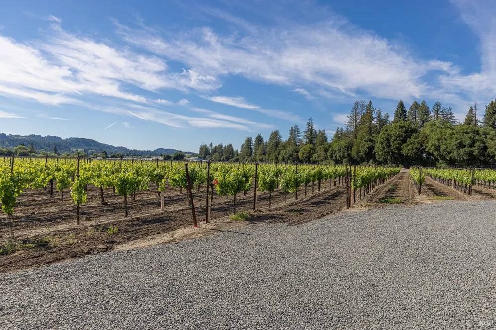 390 Magnolia Drive Healdsburg, CA 95448