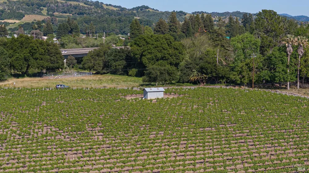 390 Magnolia Drive Healdsburg, CA 95448