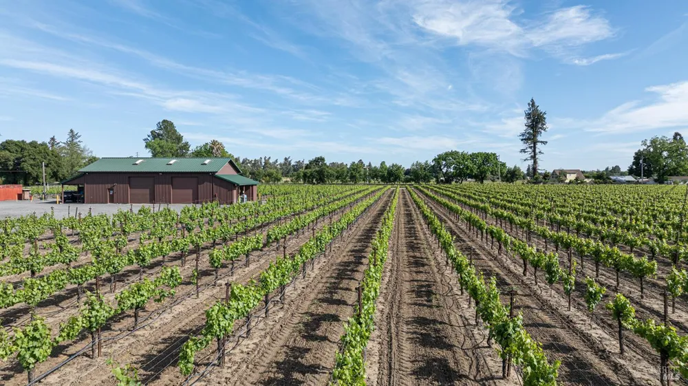 390 Magnolia Drive Healdsburg, CA 95448