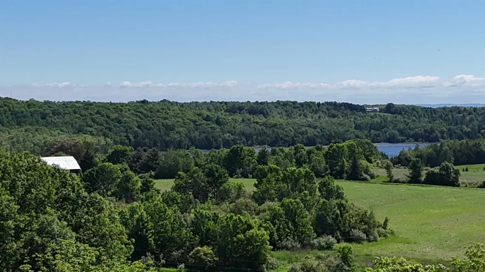 Swede Road Leelanau Township, MI 49670