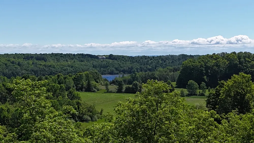 Swede Road Leelanau Township, MI 49670