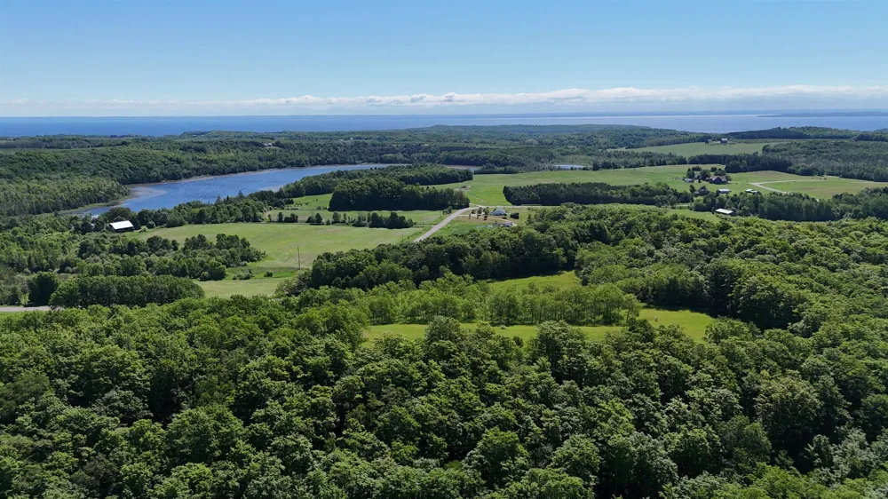 Swede Road Leelanau Township, MI 49670