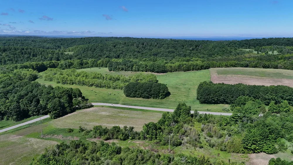 Swede Road Leelanau Township, MI 49670