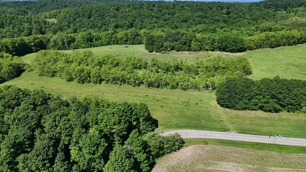 Swede Road Leelanau Township, MI 49670