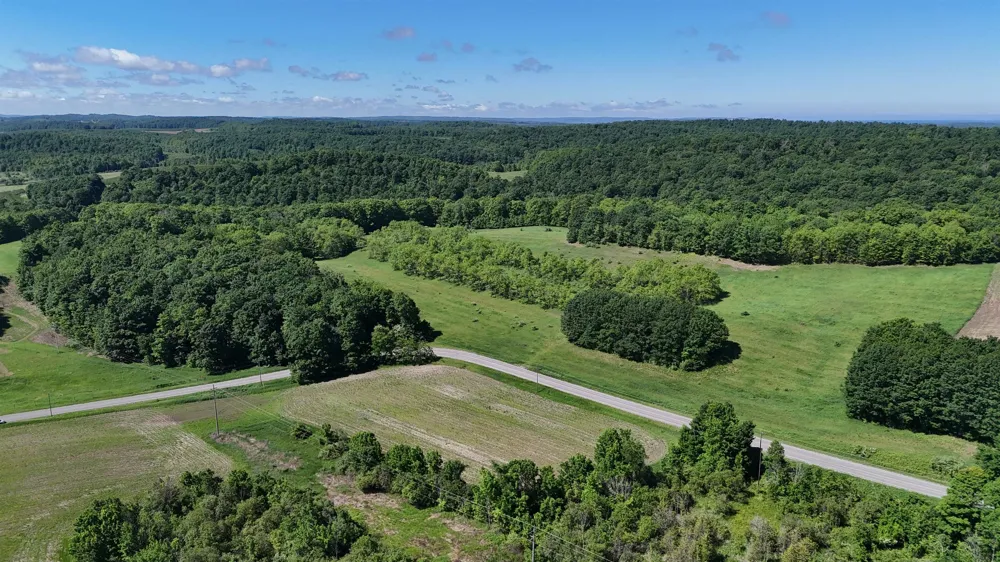 Swede Road Leelanau Township, MI 49670