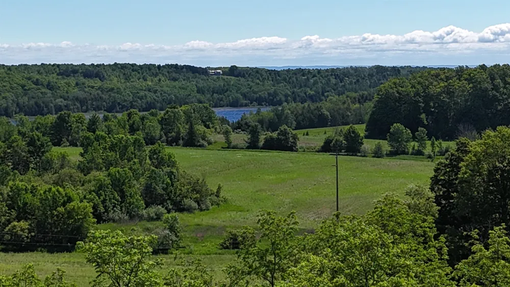 Swede Road Leelanau Township, MI 49670