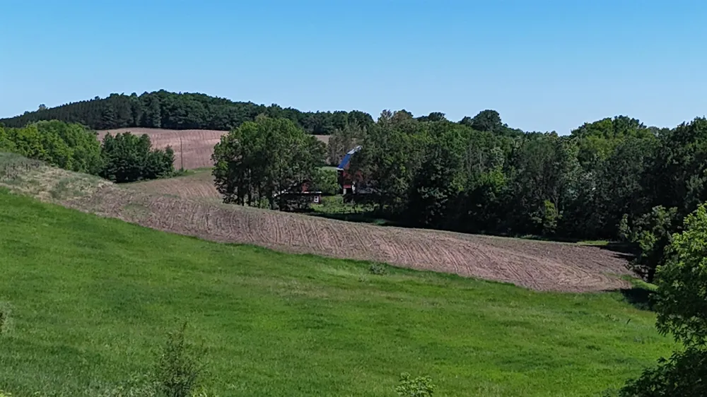 Swede Road Leelanau Township, MI 49670