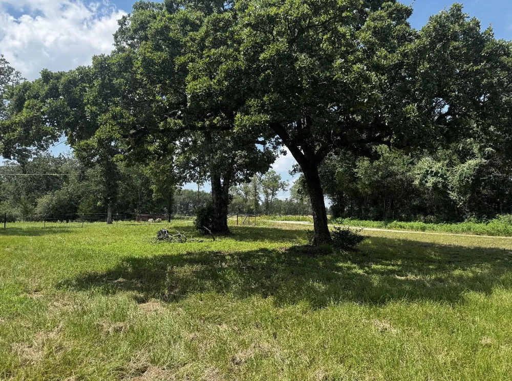 283 County Road 269 Kosse, TX 76653