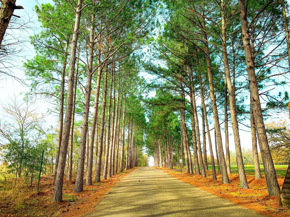 SHENANDOAH DRIVE #Lot 153-R Streetman, TX 75859