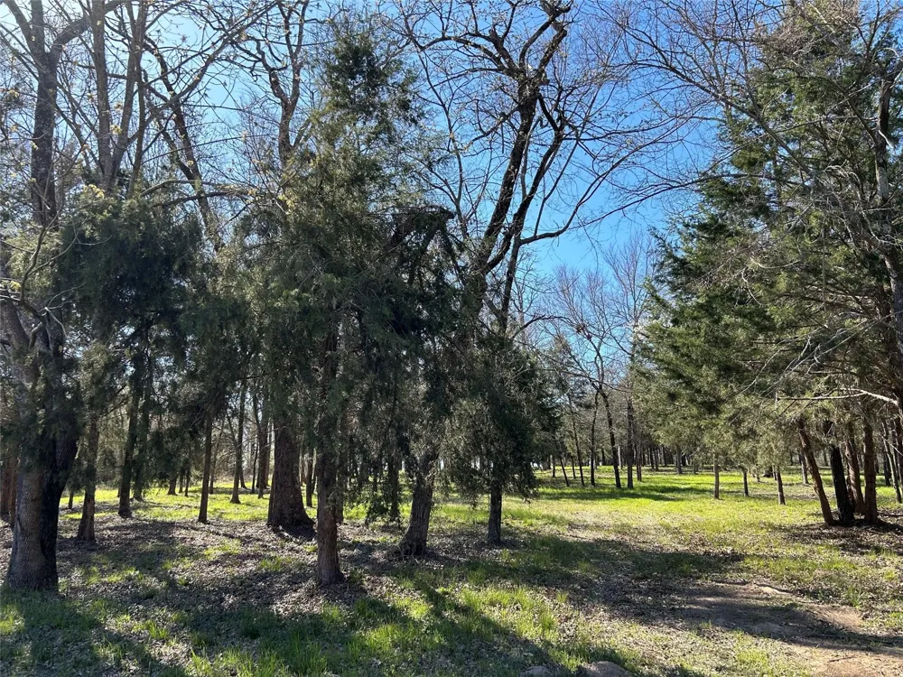 SHENANDOAH DRIVE #Lot 153-R Streetman, TX 75859