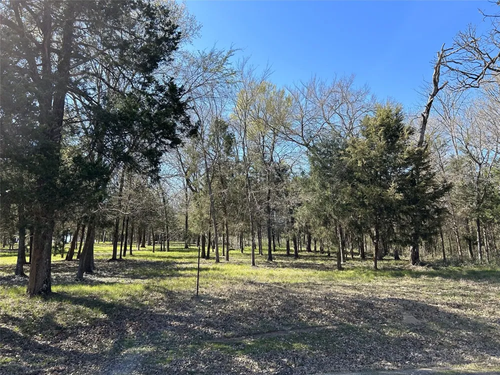 SHENANDOAH DRIVE #Lot 153-R Streetman, TX 75859