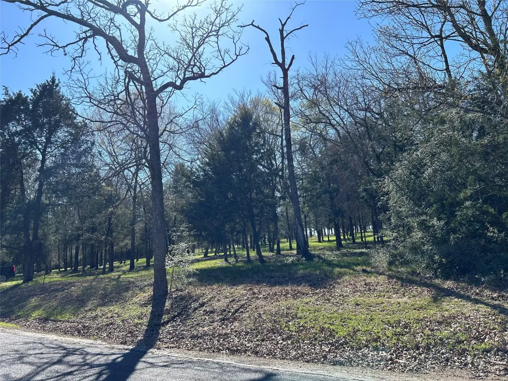 SHENANDOAH DRIVE #Lot 153-R Streetman, TX 75859